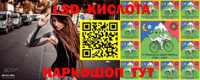 шишки Ирбит