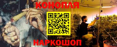 шишки Ирбит