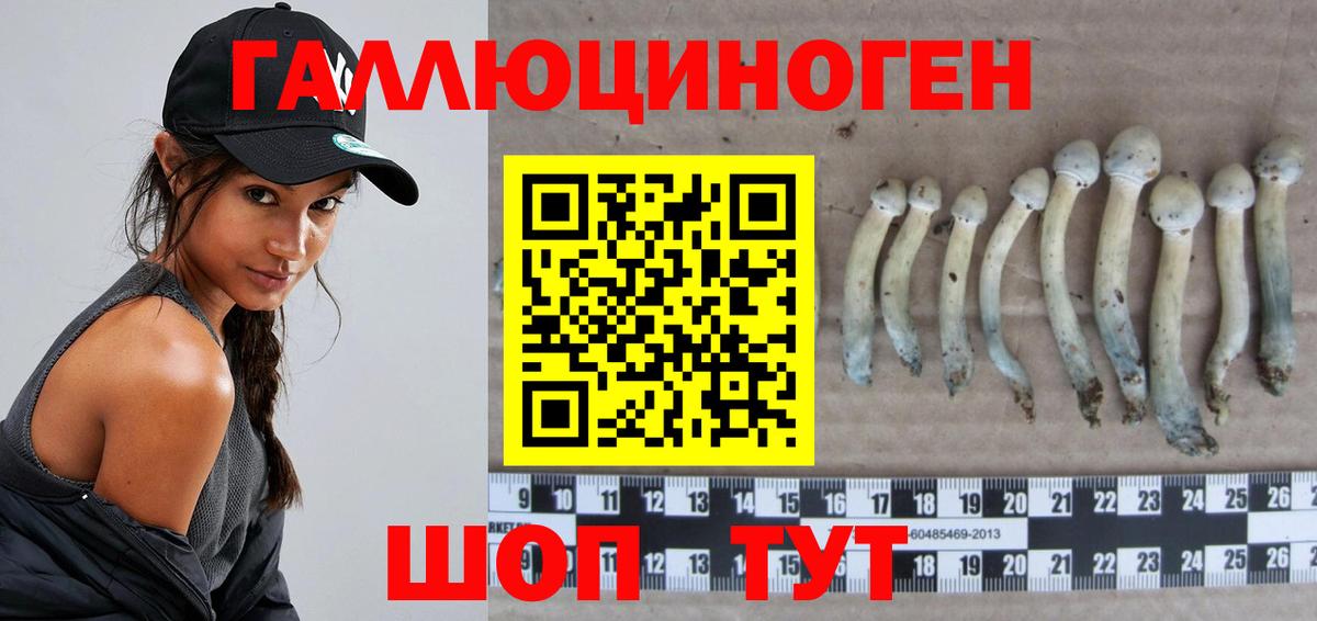 Псилоцибиновые грибы мицелий  Галлюциногенные грибы MAGIC MUSHROOMS  Вход с VPN  Ессентуки 